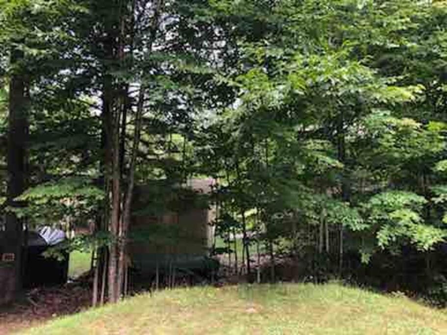 Muskoka Manor Villa Dwight Bagian luar foto